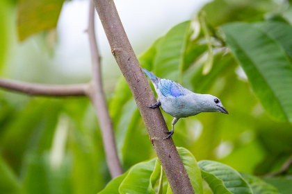其实我一直被丈夫的上司侵犯
